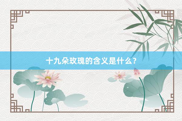 十九朵玫瑰的含义是什么？